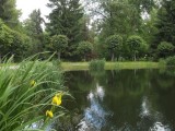У пруда в нижнем парке, Петергоф