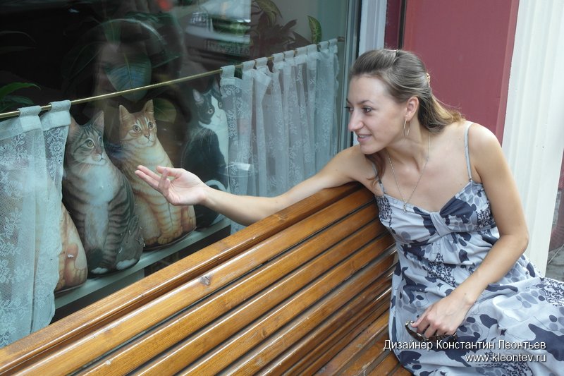 Кошки в окне ресторана Мари Vanna